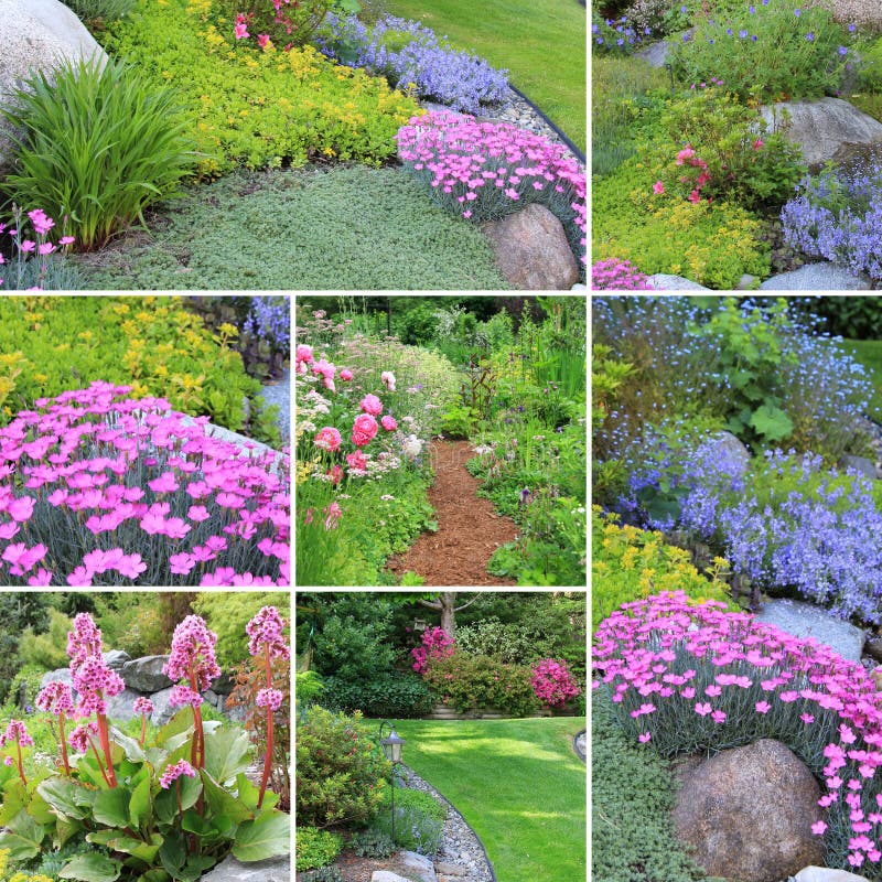 La sorgente fa il giardinaggio collage fotografia stock La sorgente fa il giardinaggio collage fotografia stock