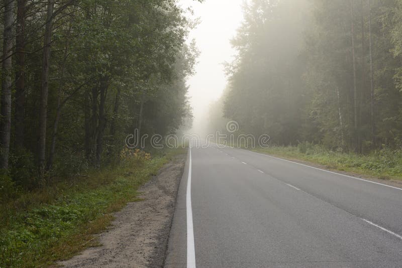 La strada in nebbia nella mattina in anticipo di autunno fotografia stock La strada in nebbia nella mattina in anticipo di autunno fotografia stock
