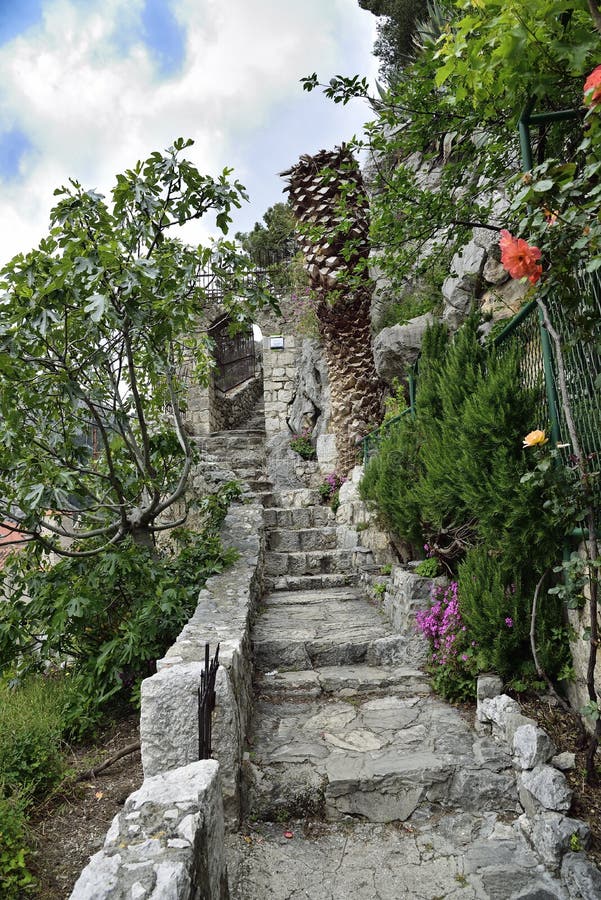 La strada stonewalk con fiori e giardini in dalmatia omis croatia europe