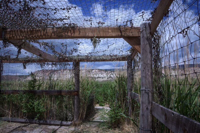 La structure sans visibilité d'oiseau le long de la commande de faune dans les bruns se garent dans le Colorado image libre de droits La structure sans visibilité d'oiseau le long de la commande de faune dans les bruns se garent dans le Colorado image libre de droits
