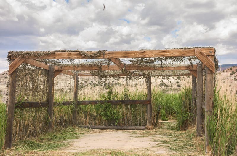 La struttura cieca dell'uccello lungo l'azionamento della fauna selvatica nei marroni parcheggia in Colorado immagini stock La struttura cieca dell'uccello lungo l'azionamento della fauna selvatica nei marroni parcheggia in Colorado immagini stock