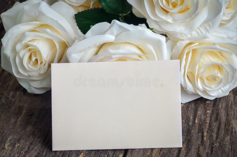 La tarjeta de felicitación en blanco con artificial blanco subió fotos de archivo libres de regalías La tarjeta de felicitación en blanco con artificial blanco subió fotos de archivo libres de regalías