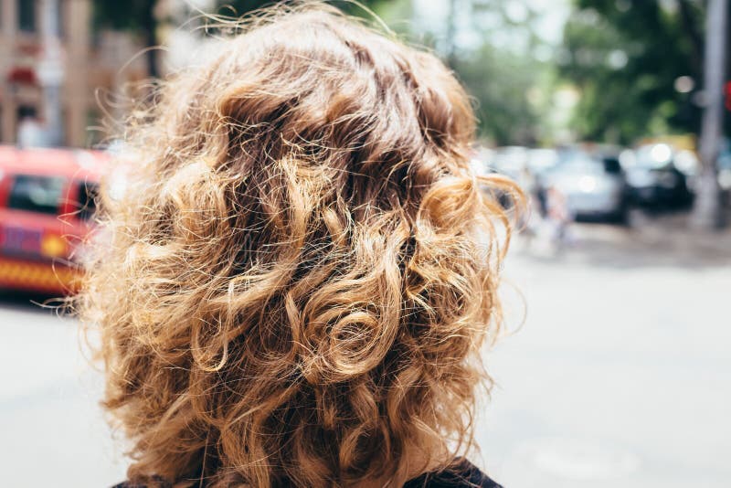 La testa della donna con capelli marroni ricci lanuginosi immagine stock libera da diritti La testa della donna con capelli marroni ricci lanuginosi immagine stock libera da diritti