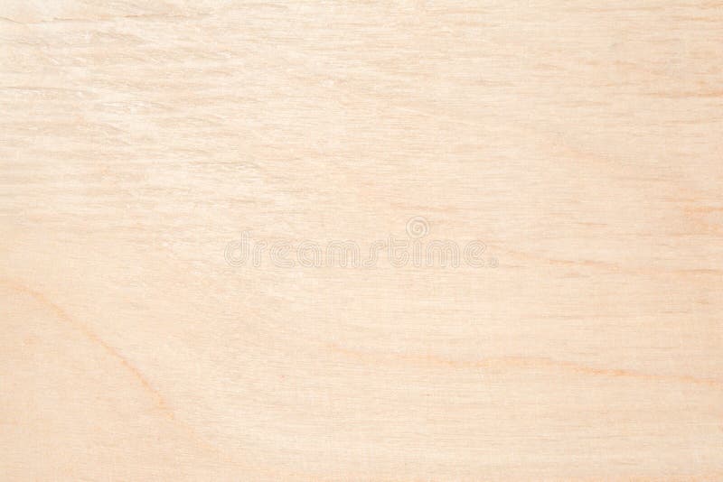 Texture of natural birch plywood, the surface of the wood has been rubbed with sandpaper and scratched, a lot of fiber and small chips, close-up abstract background. Texture of natural birch plywood, the surface of the wood has been rubbed with sandpaper and scratched, a lot of fiber and small chips, close-up abstract background
