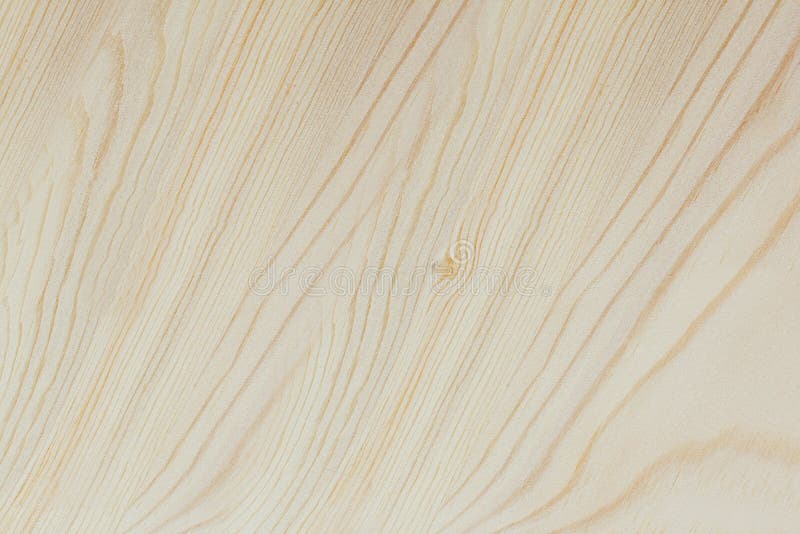 La textura de madera ligera, fondo de madera, roble fotografía de archivo La textura de madera ligera, fondo de madera, roble fotografía de archivo