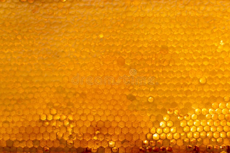 La textura del fondo y el modelo de una sección del panal de la cera de una colmena de la abeja llenaron de la miel de oro imagen de archivo La textura del fondo y el modelo de una sección del panal de la cera de una colmena de la abeja llenaron de la miel de oro imagen de archivo