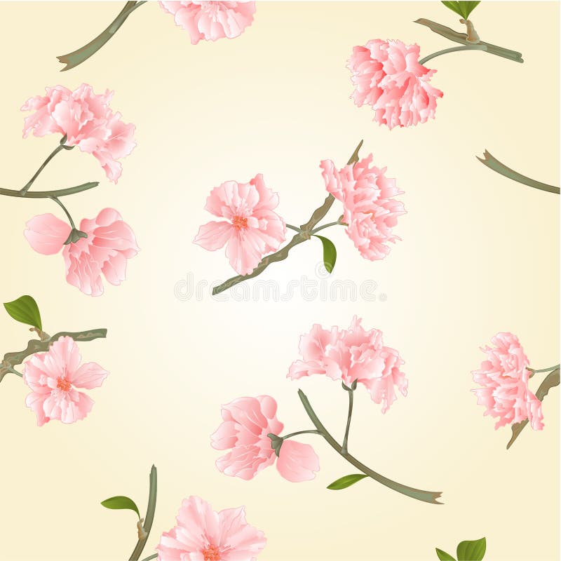 La textura inconsútil florece vector de Sakura ilustración del vector La textura inconsútil florece vector de Sakura ilustración del vector