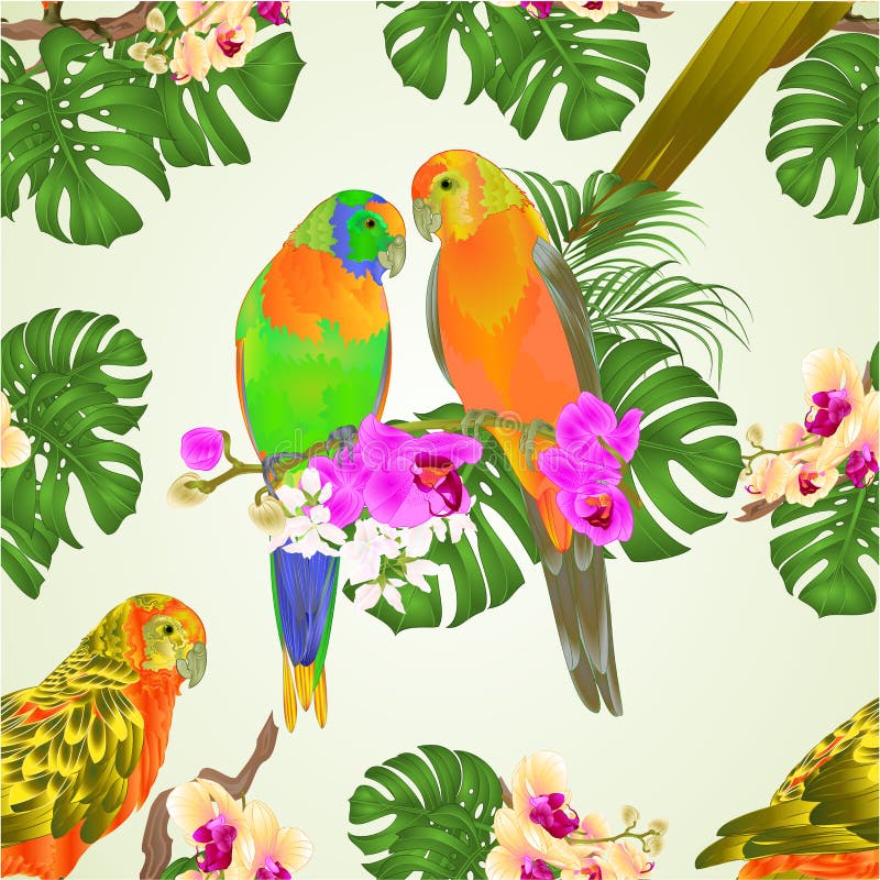 La textura inconsútil Sun Conure repite mecánicamente pájaros exóticos tropicales con las orquídeas hermosas y el ejemplo del vec stock de ilustración La textura inconsútil Sun Conure repite mecánicamente pájaros exóticos tropicales con las orquídeas hermosas y el ejemplo del vec stock de ilustración