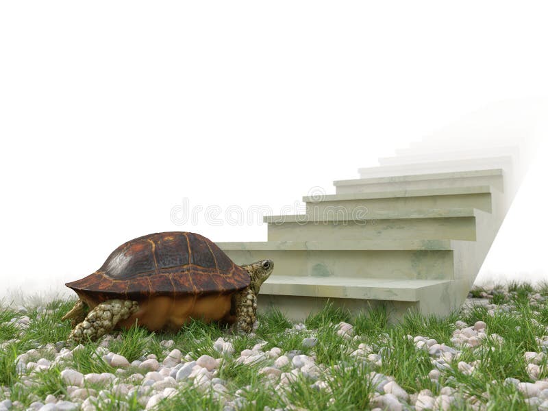 La tortuga móvil quiere subir en el fondo del concepto de las escaleras fotos de archivo La tortuga móvil quiere subir en el fondo del concepto de las escaleras fotos de archivo