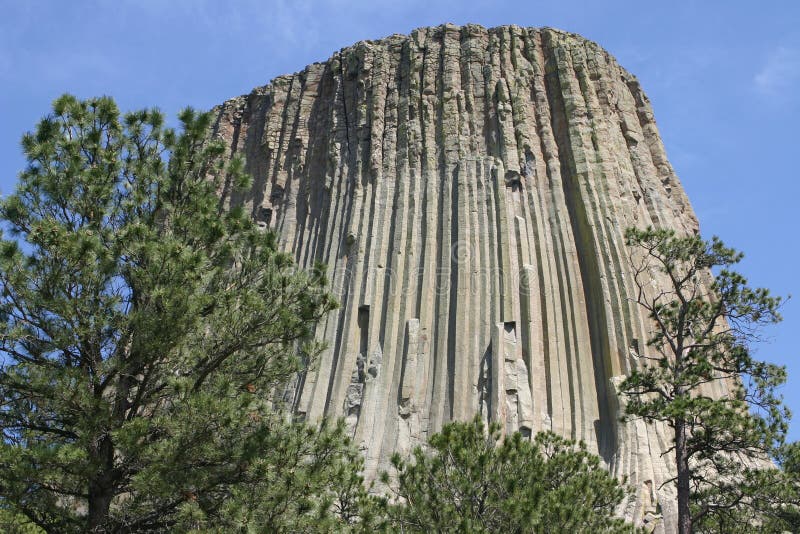 Bouteilles Nalgene 125 Ml (4 Oz) – Lot De 6, Goulot Large, PEHD, Pour échantillons Ou Stockage