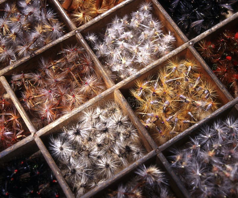 Close up of a selection of vintage chalkstream trout fishing flies in a wooden box. Close up of a selection of vintage chalkstream trout fishing flies in a wooden box