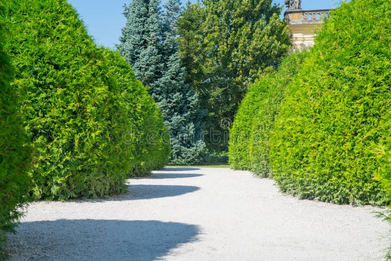 La via abbellita di bianco di giardino convenzionale ha fiancheggiato da verde a forma di fotografie stock La via abbellita di bianco di giardino convenzionale ha fiancheggiato da verde a forma di fotografie stock