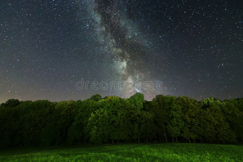 La Via Lattea sopra gli alberi Galassia della Via Lattea immagini stock