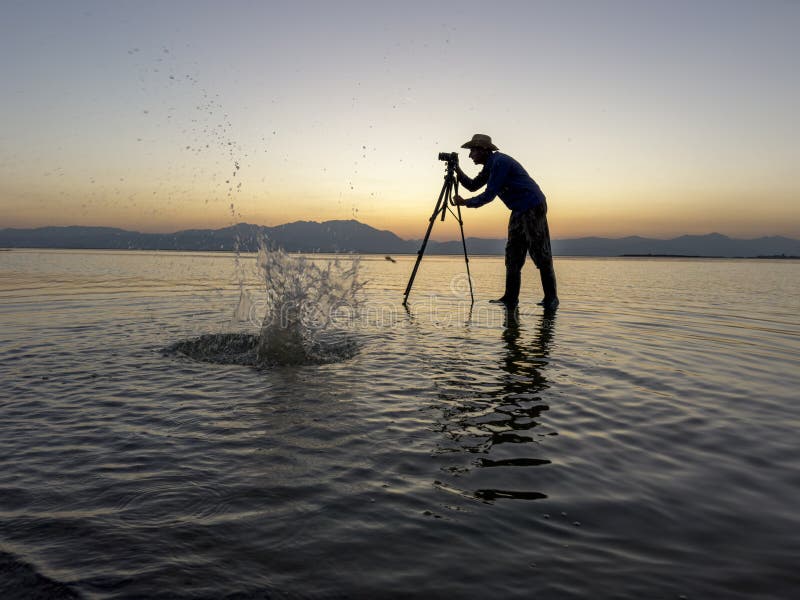 Photographe Fou Chat Drôle Avec La Caméra D'isolement Sur Le Fond