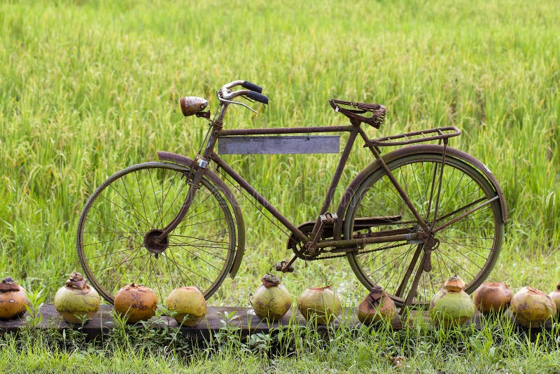 bicyclette avec jantes en bois