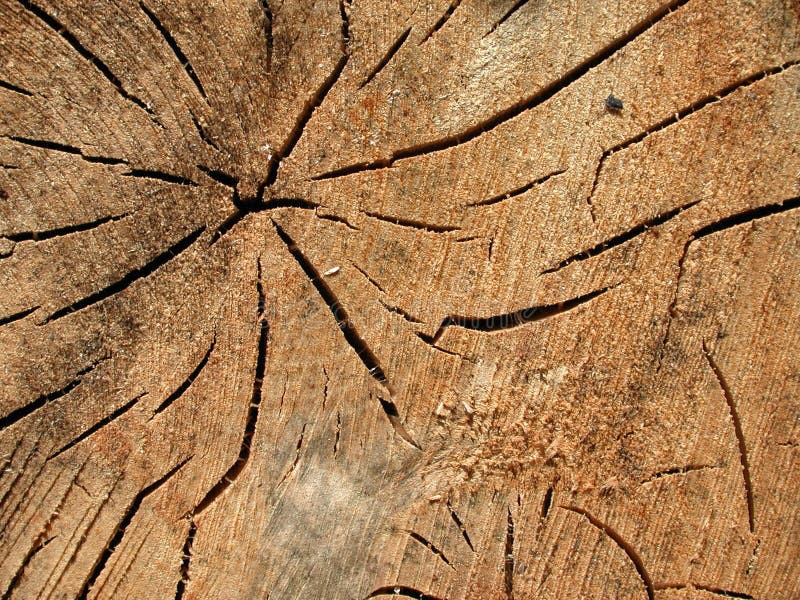 La vieille texture en bois fissure la texture photos libres de droits La vieille texture en bois fissure la texture photos libres de droits