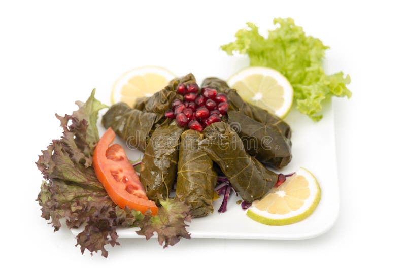 La vigne bourrée part de la cuisine de Libanais de plat. image stock La vigne bourrée part de la cuisine de Libanais de plat. image stock