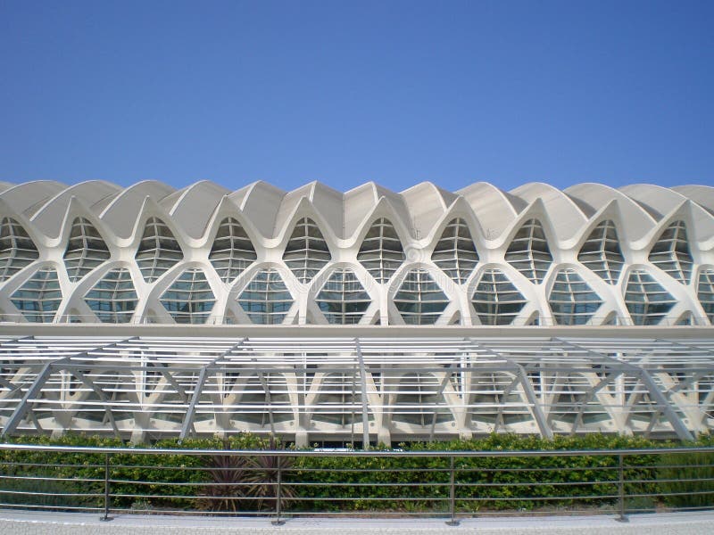 La ville des arts et des sciences Valencia Spain photographie stock libre de droits La ville des arts et des sciences Valencia Spain photographie stock libre de droits