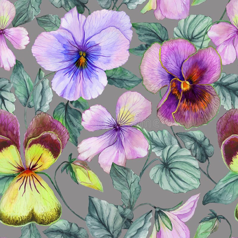 La viola púrpura y amarilla grande hermosa florece con las hojas verdes en fondo gris Estampado de flores botánico inconsútil libre illustration