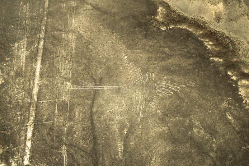La vista aerea del geoglyph del colibrì, Nazca allinea, il Perù