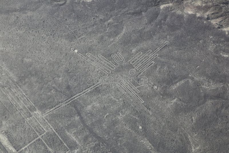 La vista aerea di Nazca allinea - il geoglyph del colibrì, Perù