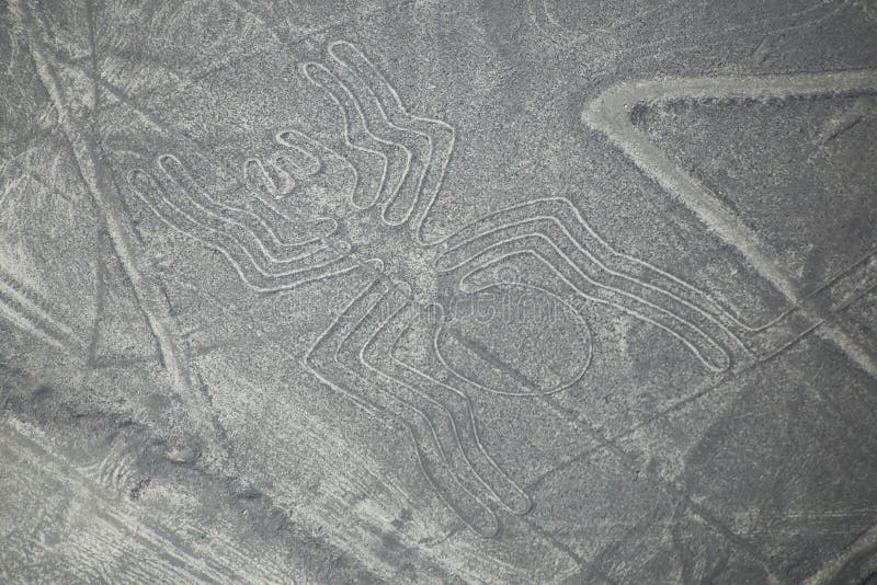 La vista aerea di Nazca allinea - il geoglyph del ragno, Perù