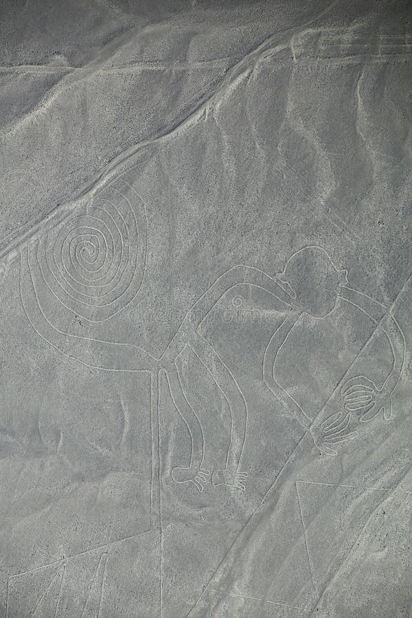 La vista aerea di Nazca allinea - Monkey il geoglyph, Perù
