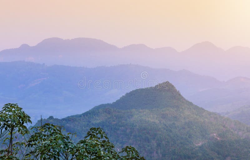 La vista de la montaña con niebla y el árbol ajardinan la naturaleza imagenes de archivo La vista de la montaña con niebla y el árbol ajardinan la naturaleza imagenes de archivo