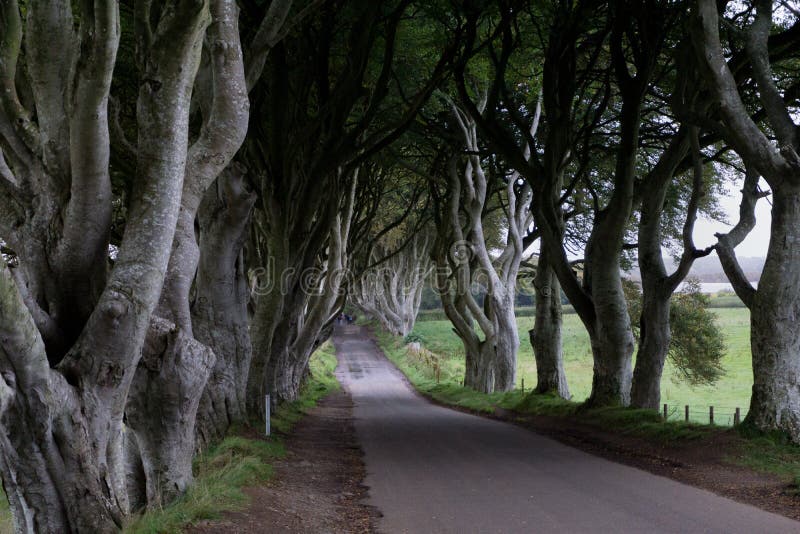 La vista del ` la oscuridad cerca el ` en Irlanda fotografía de archivo libre de regalías La vista del ` la oscuridad cerca el ` en Irlanda fotografía de archivo libre de regalías