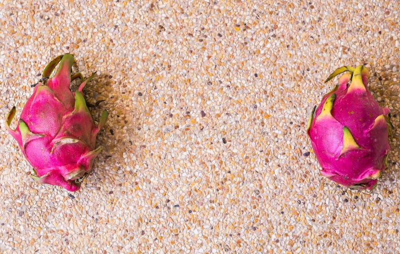 La vista del primo piano del drago maturo fresco fruttifica Pitaya Concetto dell'alimento con lo spazio della copia fotografia stock libera da diritti