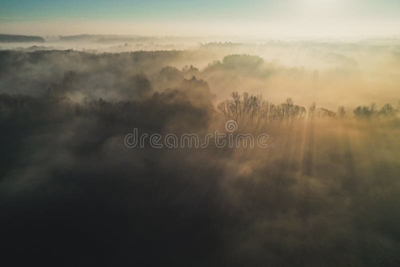 La vista spettacolare da parla monotonamente il raggio di sole fra gli alberi nella mattina nebbiosa fotografia stock La vista spettacolare da parla monotonamente il raggio di sole fra gli alberi nella mattina nebbiosa fotografia stock