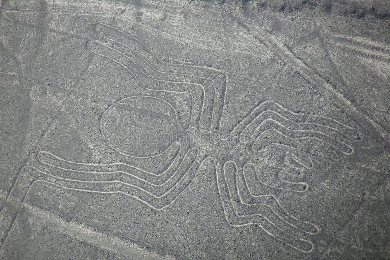 La vue aérienne de Nazca raye - le geoglyph d'araignée, Pérou