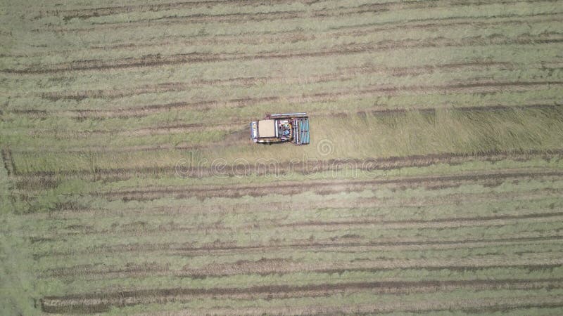 La vue aérienne des drones montre la récolte du riz à l'aide de machines agricoles clips vidéos