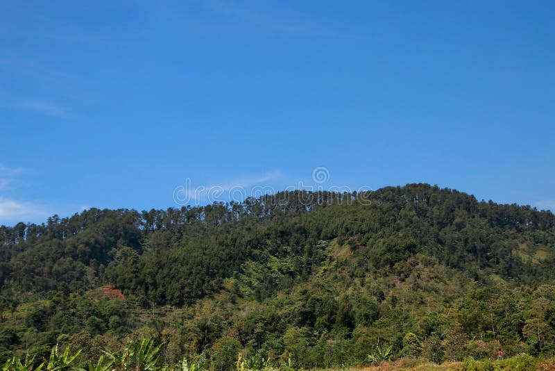 La vue des montagnes de Dieng est toujours beaucoup de zones résidentielles photographie stock libre de droits La vue des montagnes de Dieng est toujours beaucoup de zones résidentielles photographie stock libre de droits