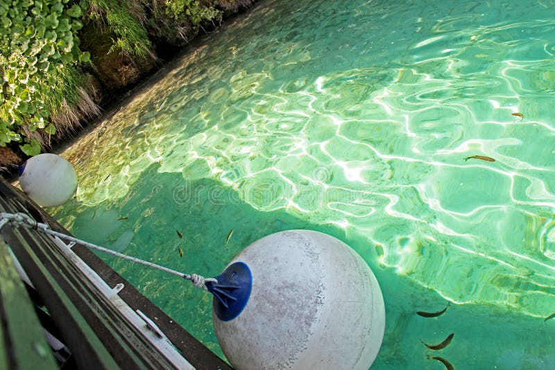 La vue du bateau de l'eau claire avec des poissons dans des lacs Plitvice photo stock La vue du bateau de l'eau claire avec des poissons dans des lacs Plitvice photo stock
