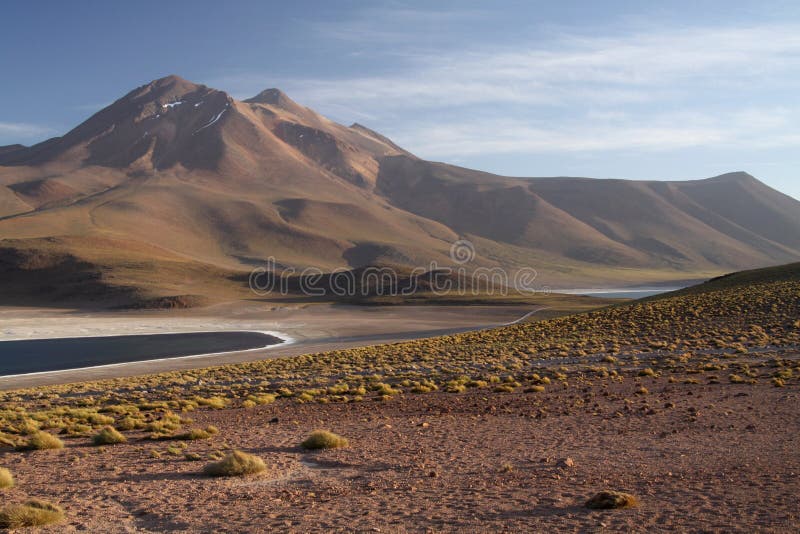 La vue sur le lac bleu profond à la lagune Miscanti d'Altiplanic Laguna dans le désert d'Atacama avec en partie la neige a couver photos libres de droits La vue sur le lac bleu profond à la lagune Miscanti d'Altiplanic Laguna dans le désert d'Atacama avec en partie la neige a couver photos libres de droits
