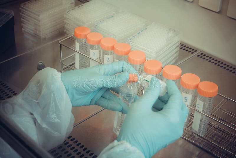 Lab Technician Takes Sample From Tube For Test, Close Up Stock Photo