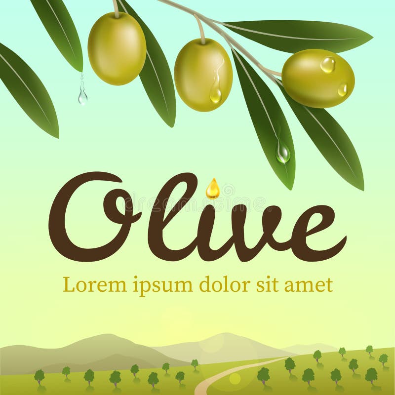 https://thumbs.dreamstime.com/b/label-green-olives-realistic-olive-branch-background-olive-farm-design-elements-packaging-vector-illustration-73234012.jpg