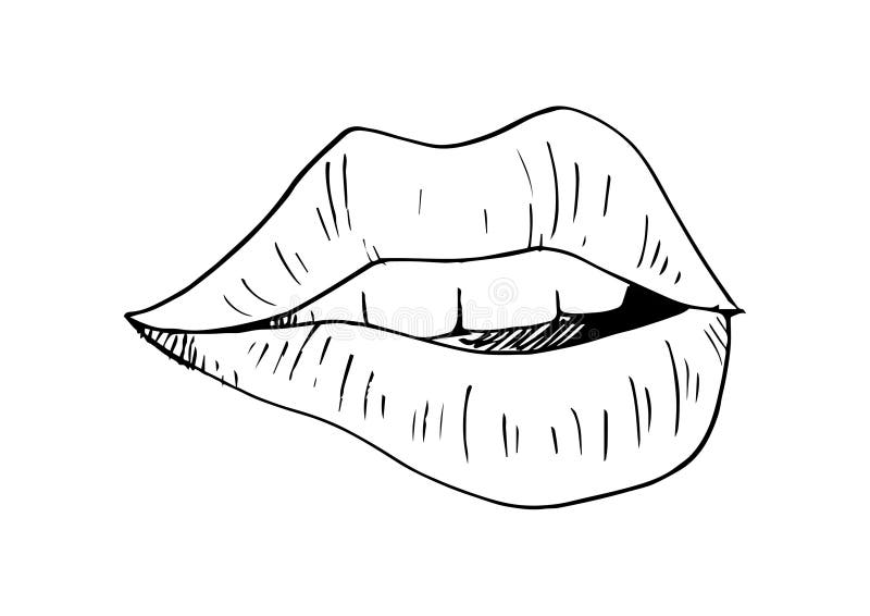 Labios De La Mujer Estilo Incompleto Stock de ilustración - Ilustración de  muchacha, contorno: 122355278