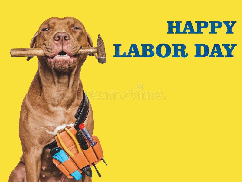691 Labor Day Funny Stock Photos - Free & Royalty-Free Stock Photos from Dreamstime 691 Labor Day Funny Stock Photos - Free & Royalty-Free Stock Photos from Dreamstime