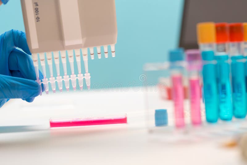 Labor Der Genforschung. Pcr-Platten Und Mehrkanalpipetten Stockfoto