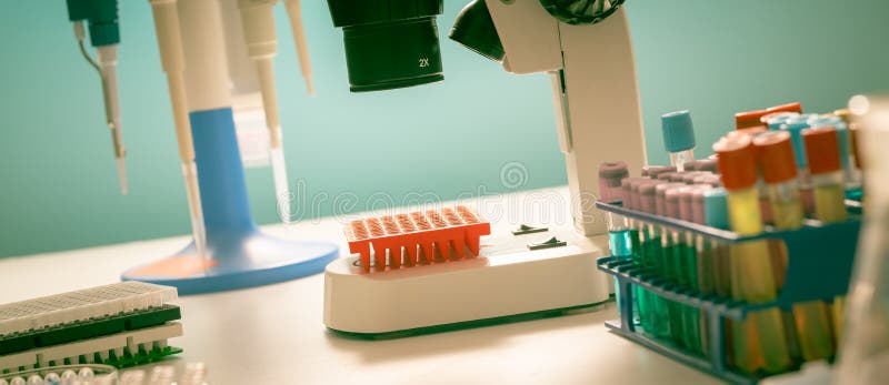 Labor Der Genforschung. Pcr-Platten Und Mehrkanalpipetten Stockbild