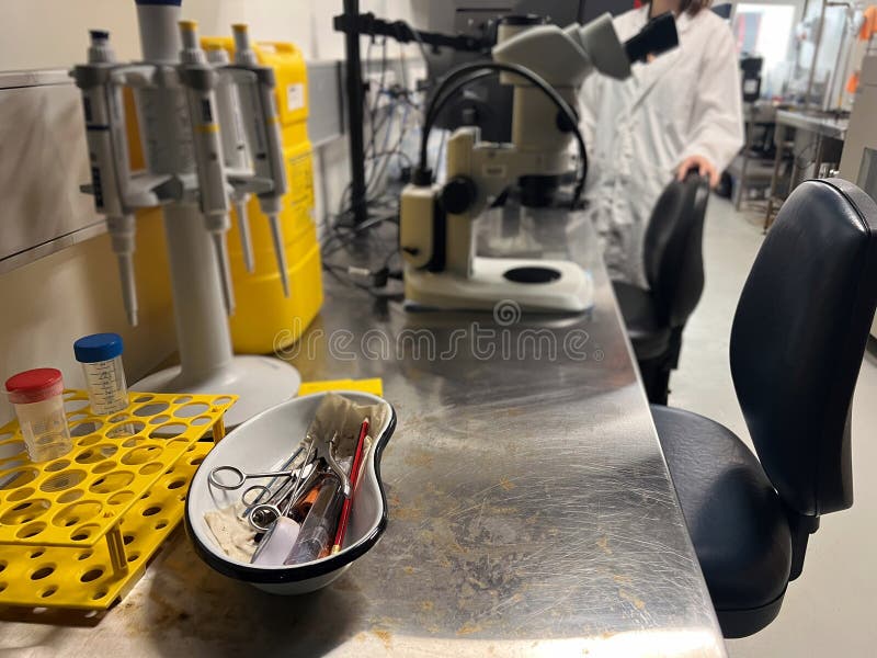 Laboratoriemmikroskop och verktyg på skrivbordet royaltyfria foton