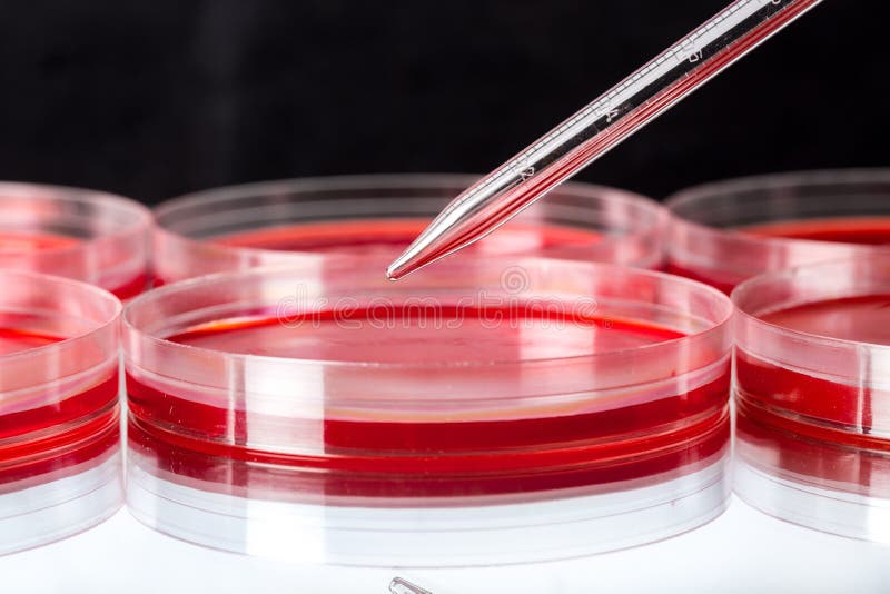 Download Laboratorio fotografia stock. Immagine di scienza, scientifico - 117978822