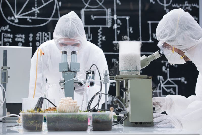 General-view of two people analyzing under microscope in a chemistry lab around sprouted plants and mushrooms. General-view of two people analyzing under microscope in a chemistry lab around sprouted plants and mushrooms