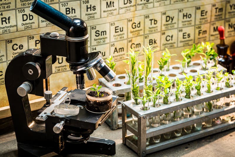 Kemiskt laboratorium med mikroskop och växter. Praktiska kemiska klasser