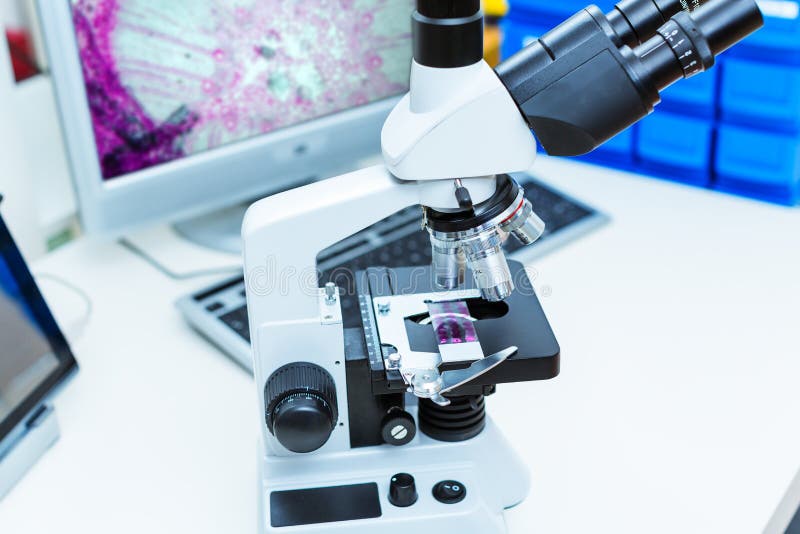 Laboratoriummikroskop royaltyfri bild