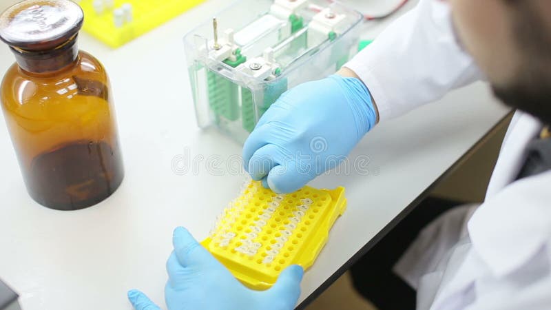 Laboratoriumwerkplaats voor DNA-test