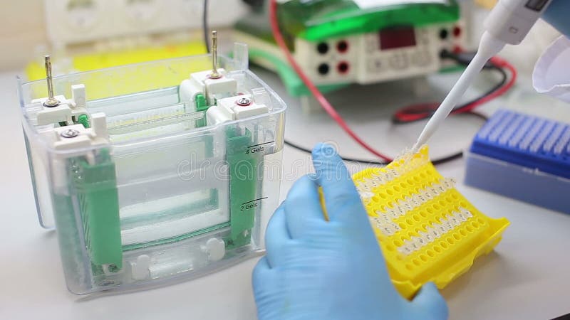 Laboratoriumwerkplaats voor DNA-test