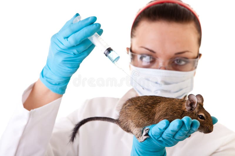 Laboratory animal research stock photo. Image of diagnosis - 13472128